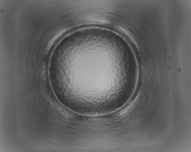 X0000070230875200605301453