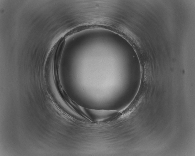 X0000070230876200605301453