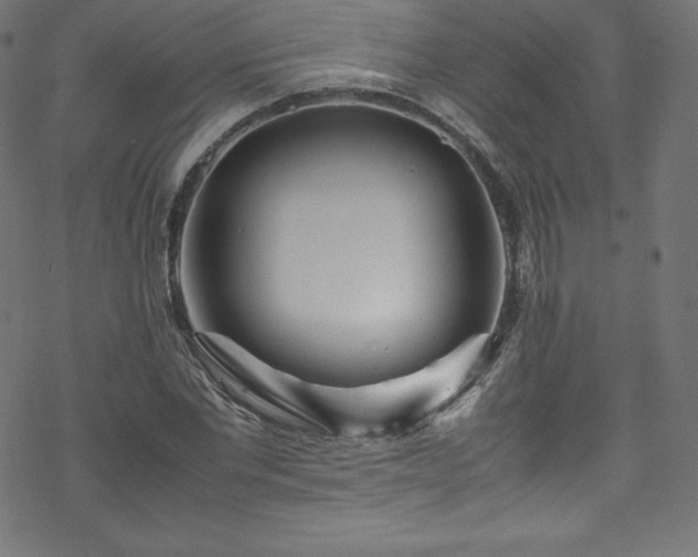 X0000070230877200605301453