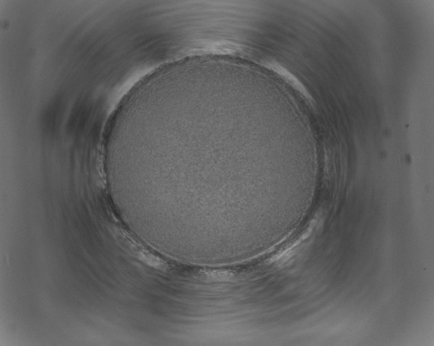 X0000070230878200605301453