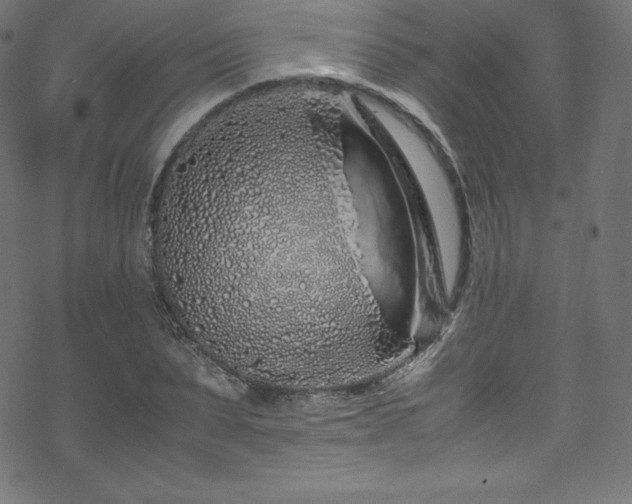 X0000070230879200605301453