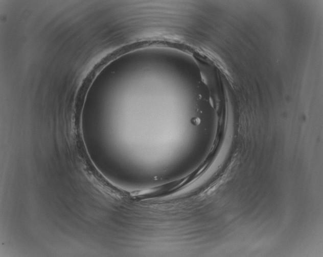 X0000070230880200605301453