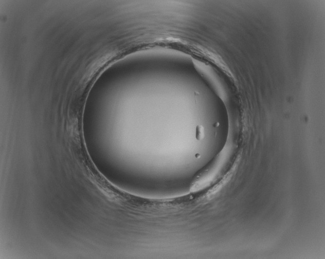 X0000070230881200605301453