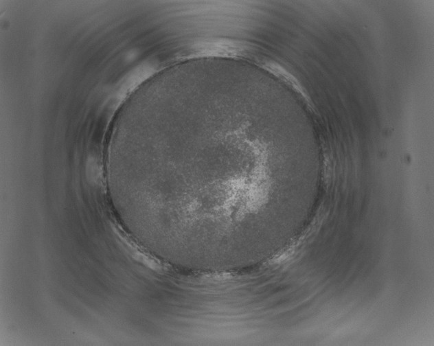 X0000070230882200605301453