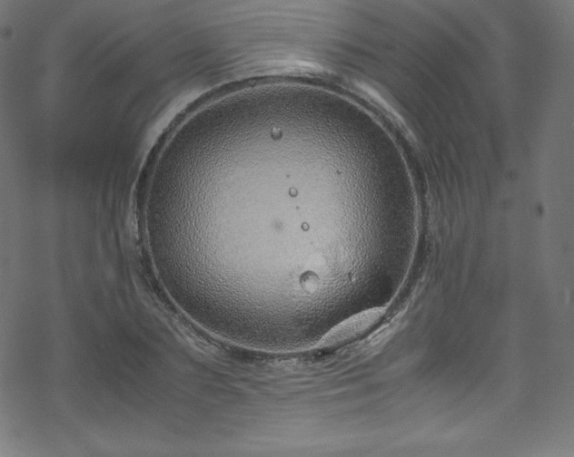 X0000070230883200605301453