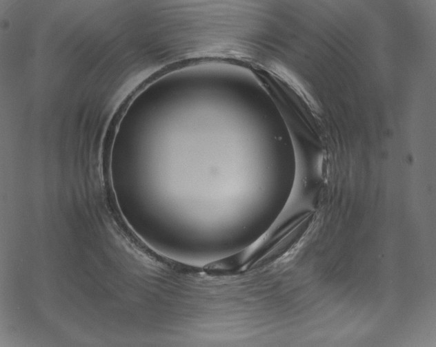 X0000070230884200605301453