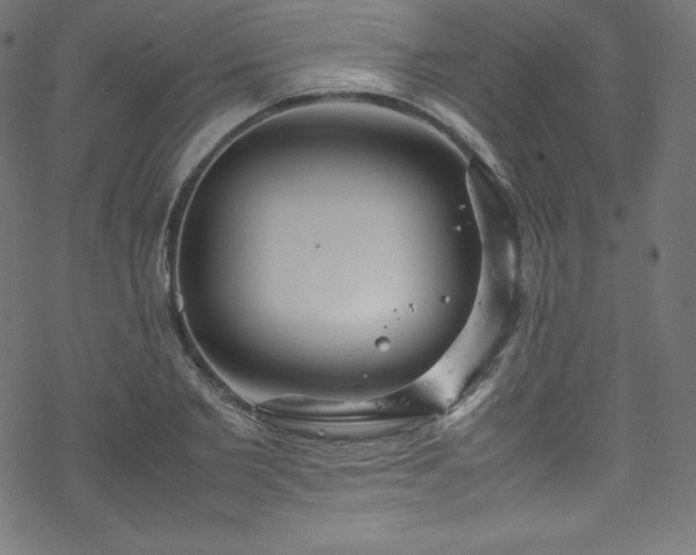 X0000070230885200605301453