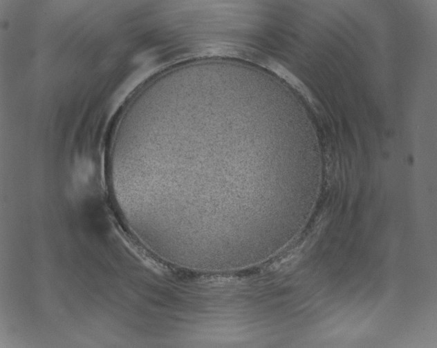 X0000070230886200605301453