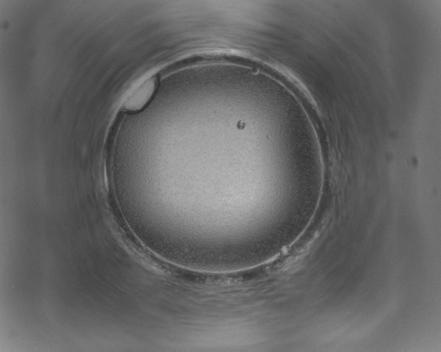 X0000070230887200605301453