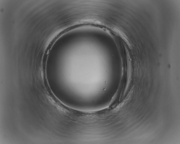 X0000070230888200605301453