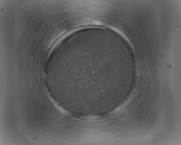 X0000070230889200605301453