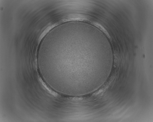 X0000070230890200605301453