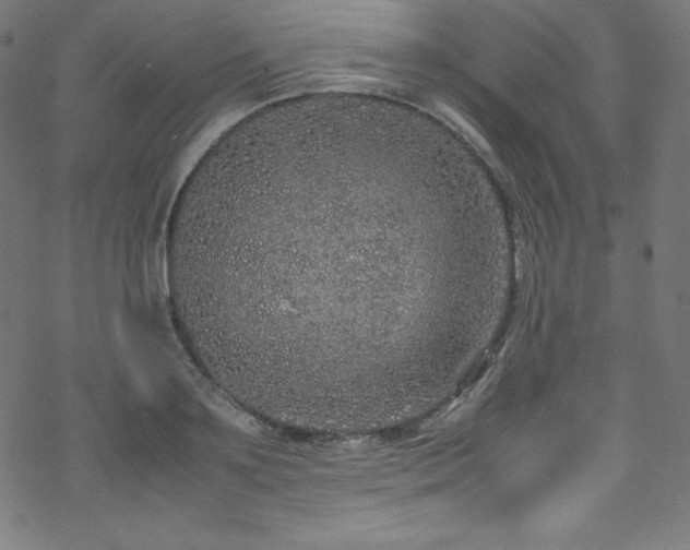 X0000070230891200605301453