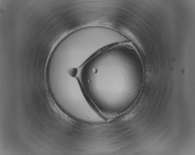 X0000070230892200605301453