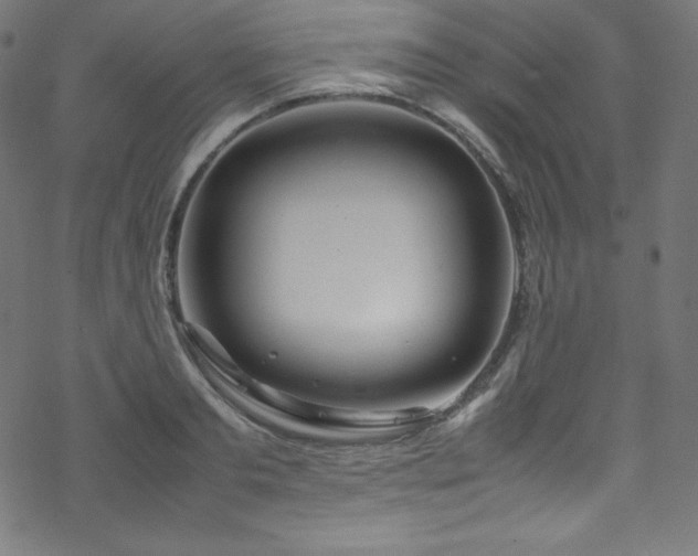 X0000070230893200605301453