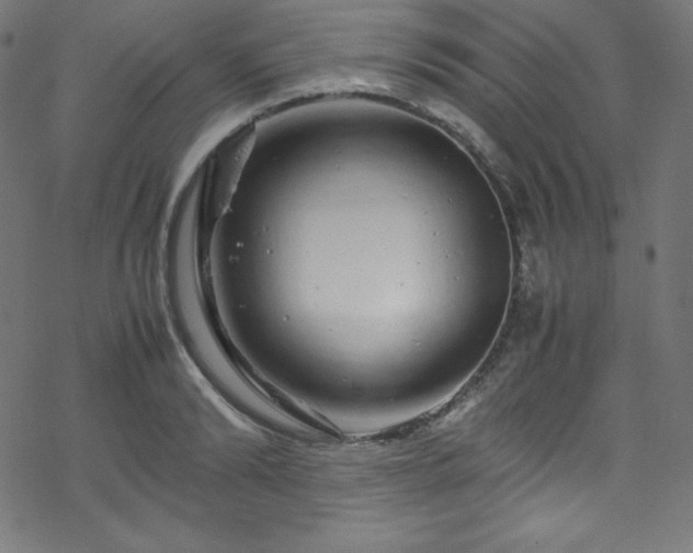 X0000070230894200605301453