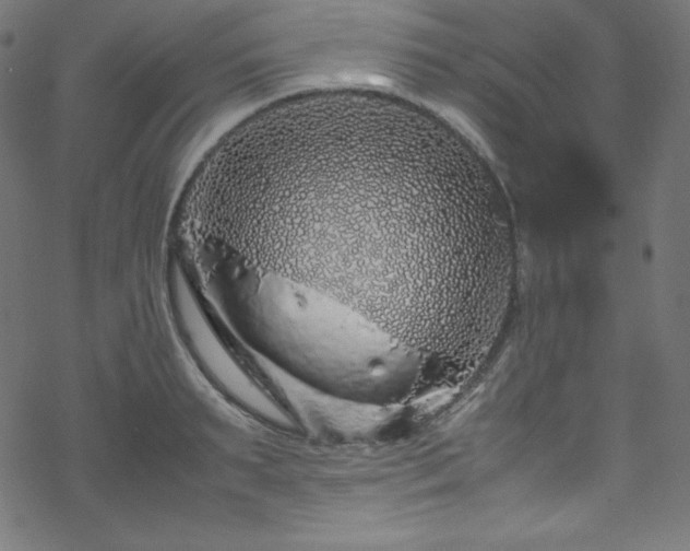 X0000070230895200605301453