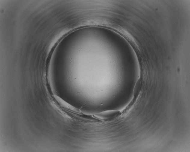 X0000070230896200605301453