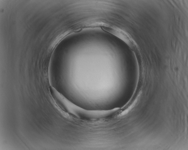 X0000070230897200605301453