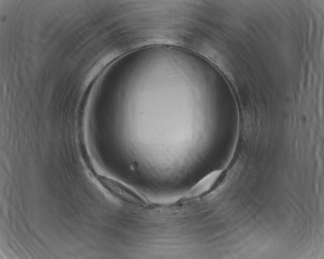 X0000070230898200605301452