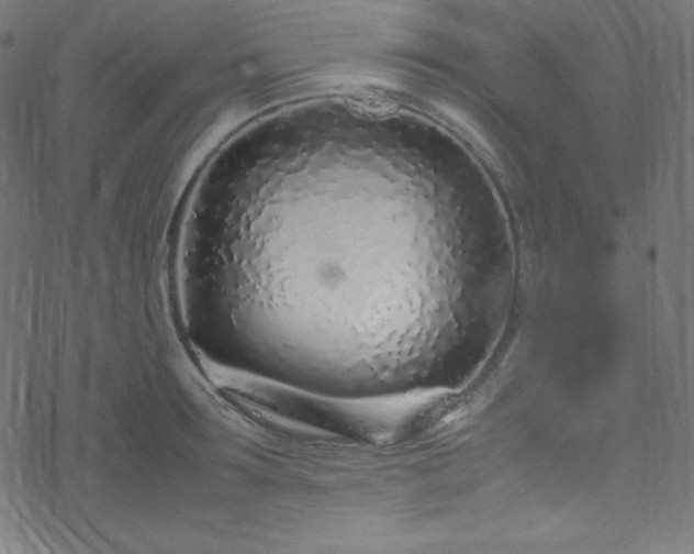 X0000070230899200605301452