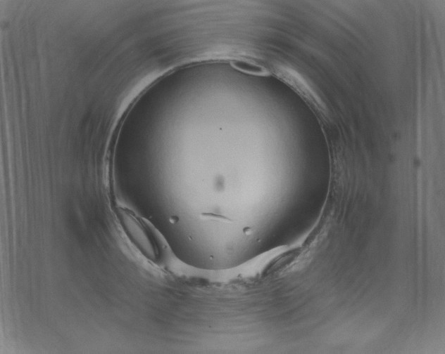 X0000070230900200605301452