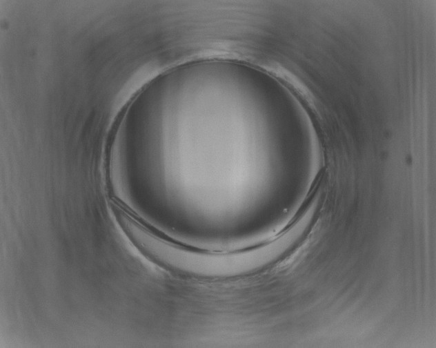 X0000070230902200605301452