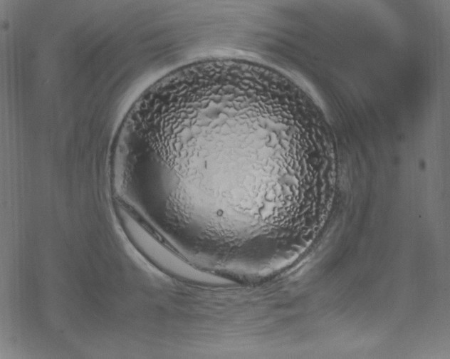 X0000070230903200605301452