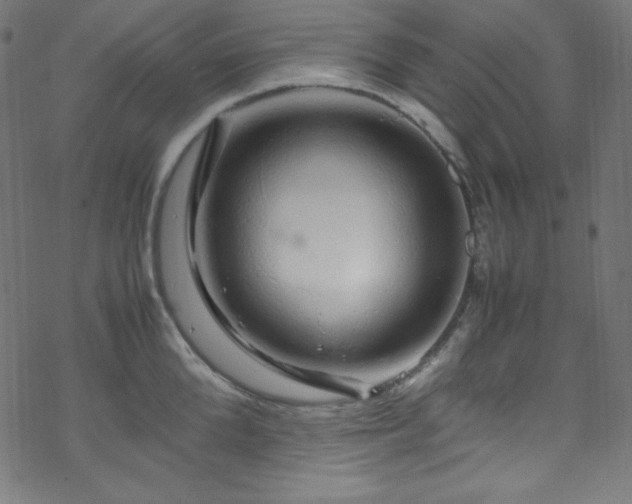 X0000070230904200605301452