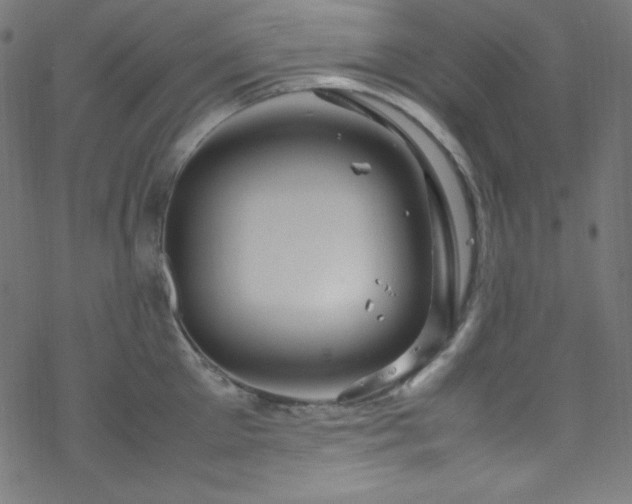 X0000070230905200605301452