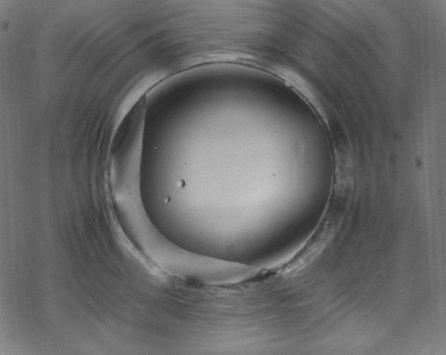 X0000070230906200605301452