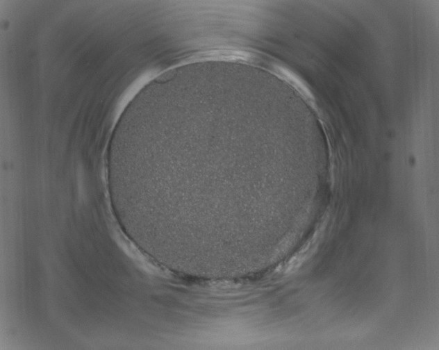 X0000070230907200605301452