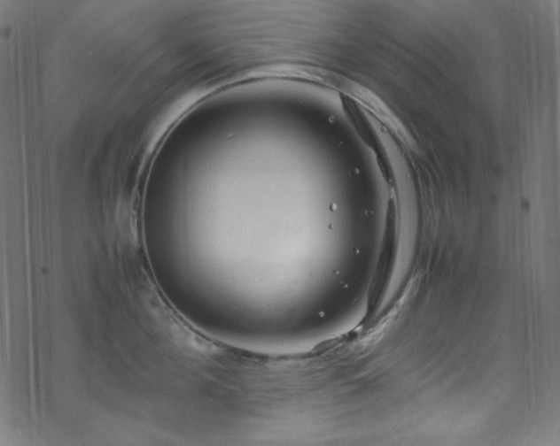 X0000070230908200605301452