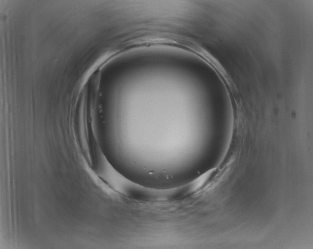 X0000070230909200605301452