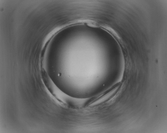 X0000070230910200605301452