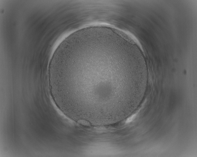 X0000070230911200605301452