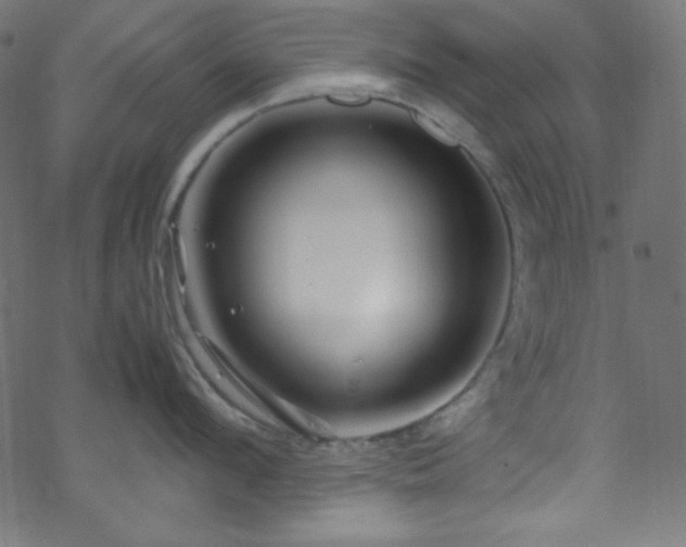 X0000070230912200605301452