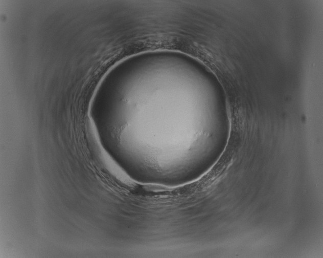 X0000070230913200605301451