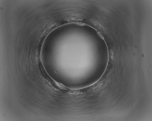 X0000070230915200605301451