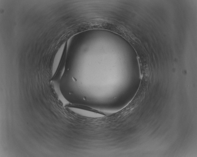 X0000070230916200605301451