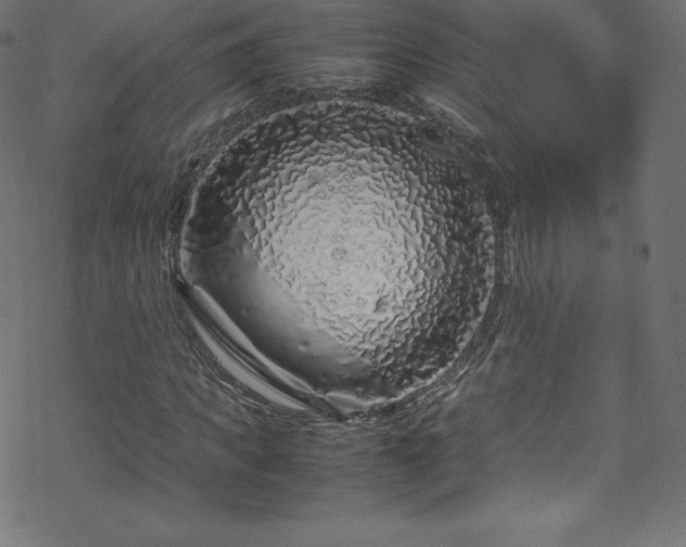 X0000070230917200605301451