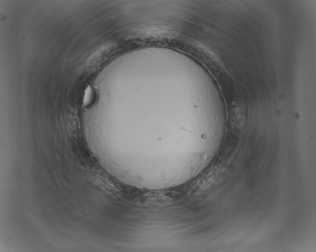 X0000070230918200605301451