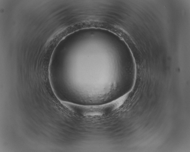 X0000070230919200605301451