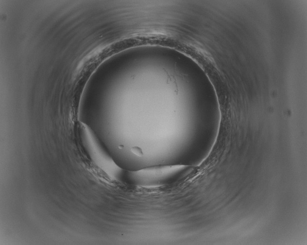 X0000070230920200605301452