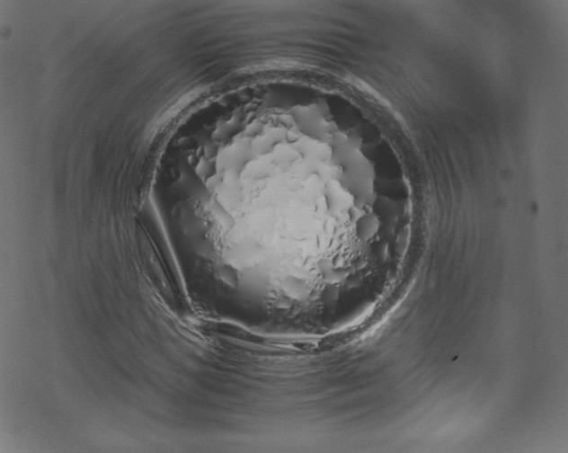 X0000070230921200605301452