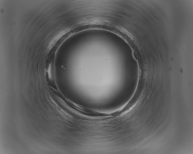 X0000070230922200605301452