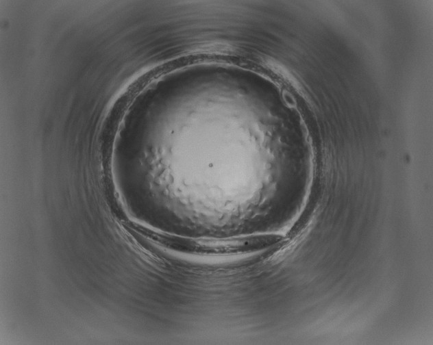 X0000070230923200605301452