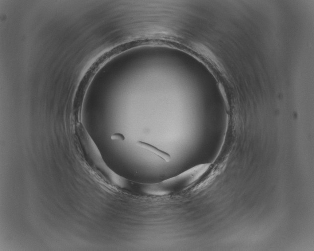 X0000070230924200605301452