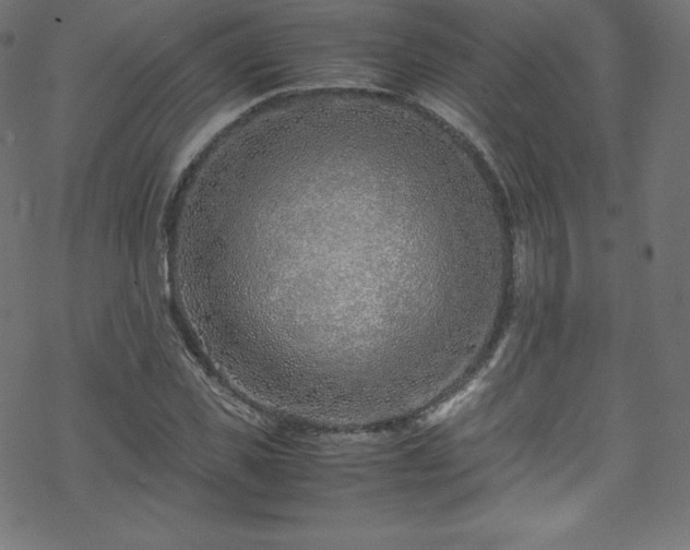 X0000070230925200605301452