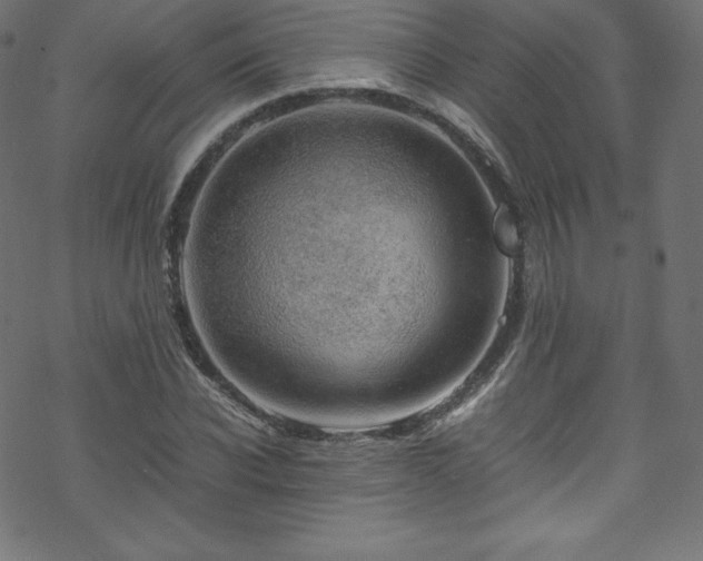 X0000070230926200605301452